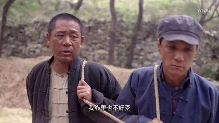 如何评价电视剧老农民