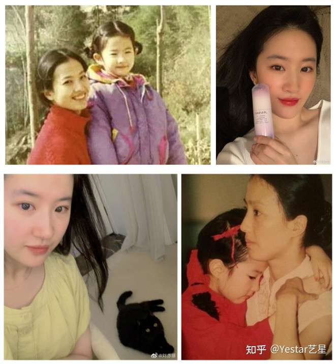 刘亦菲和她妈妈谁好看?
