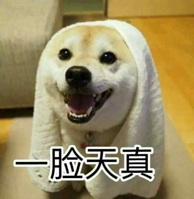 是不是笑,我不知道,但以上狗狗的表情,是真的觉得开心啦,不仅看咧嘴