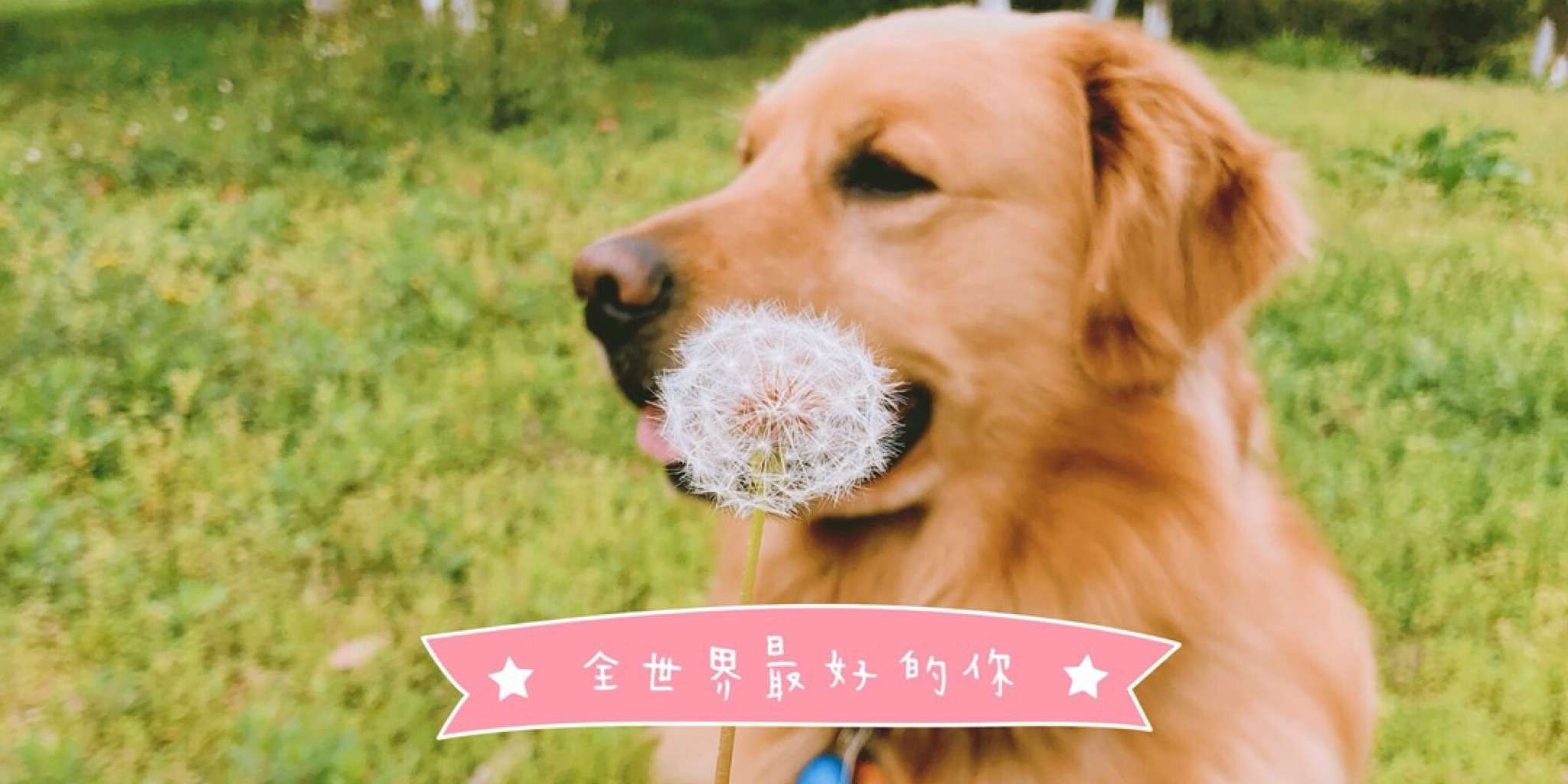 不开心的一天
