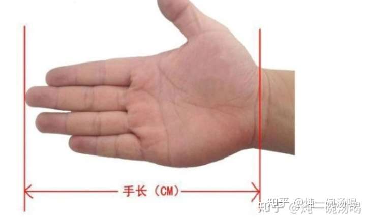 实在拿不定主意的话就适当量一下手长吧.