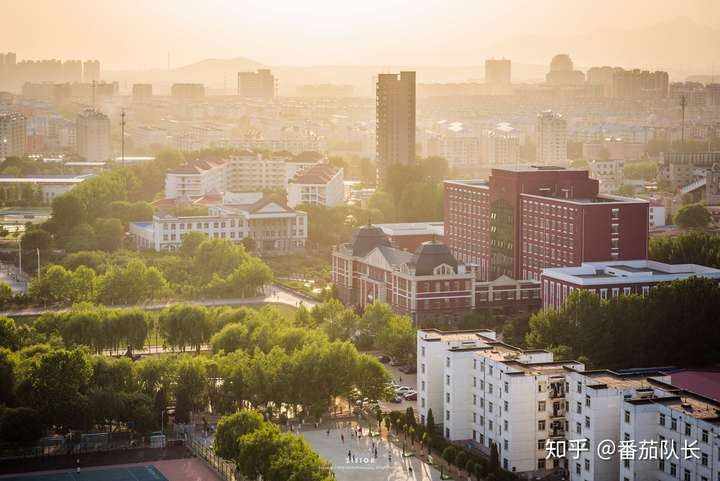 东北大学秦皇岛分校到底有多大