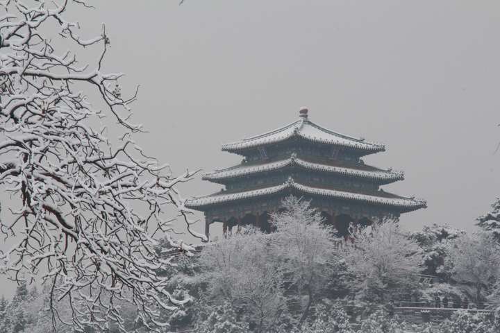 2020年11月21日北京初雪来了你出门看雪了吗