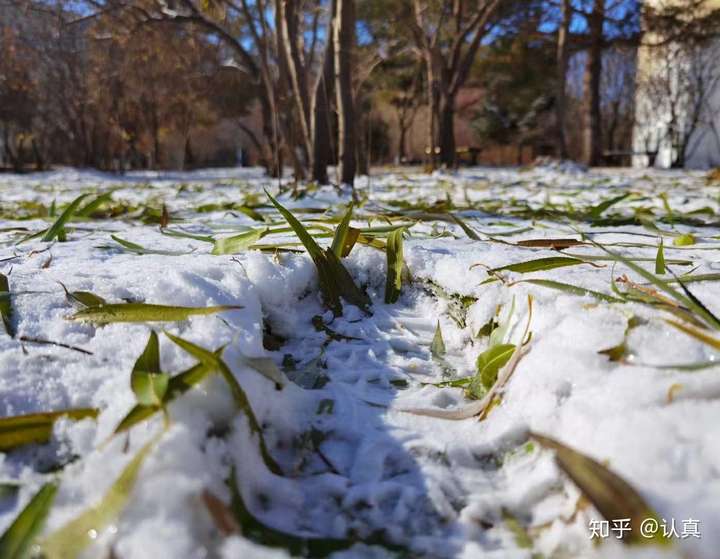 有哪些适合「初雪」时发的朋友圈文案?