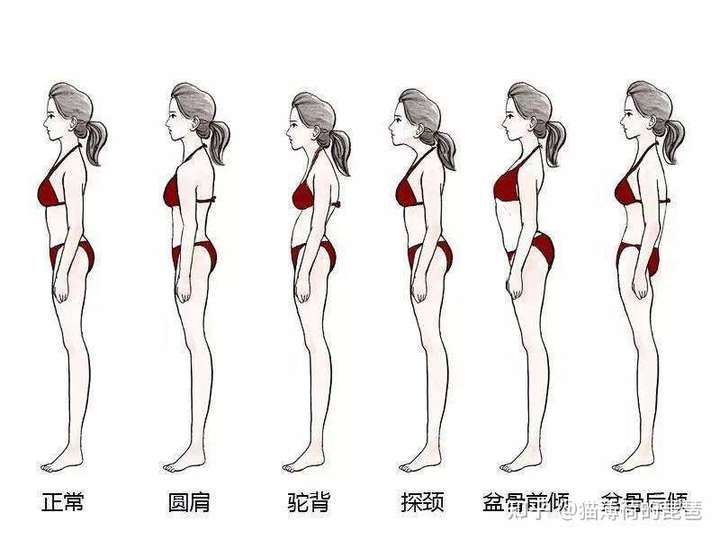 30岁打生长激素还能长高吗?
