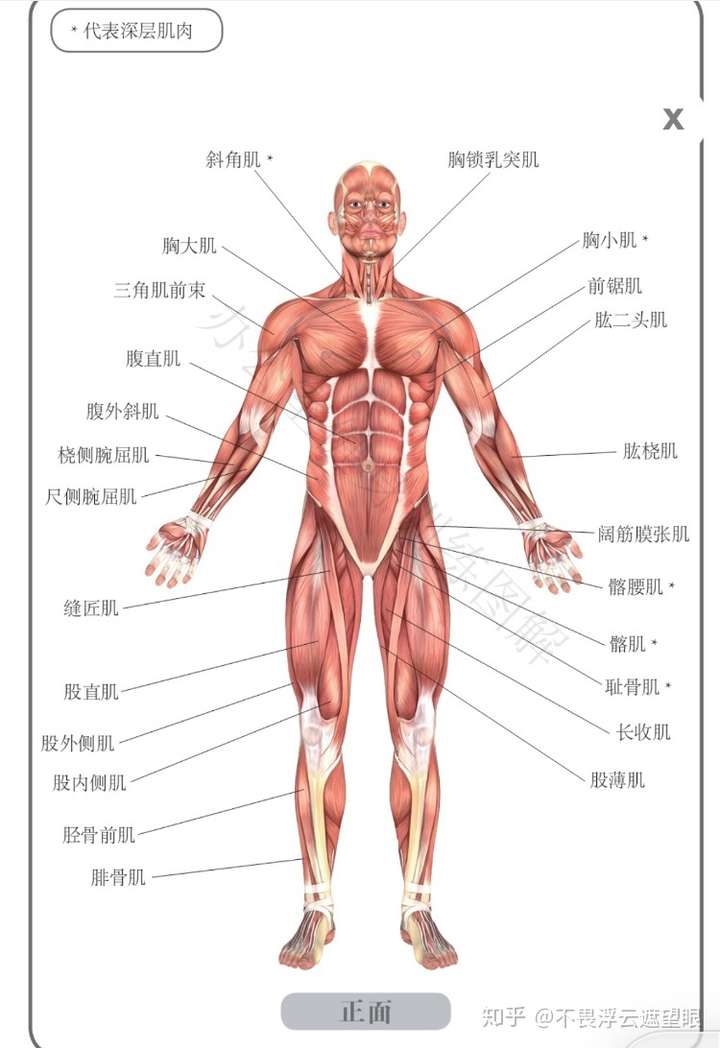 大腿外侧特别圆并在一起跟个圆圈一样该怎么改善