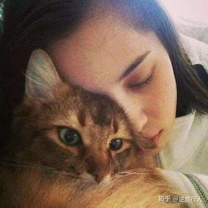 有没有女孩 猫咪的头像?