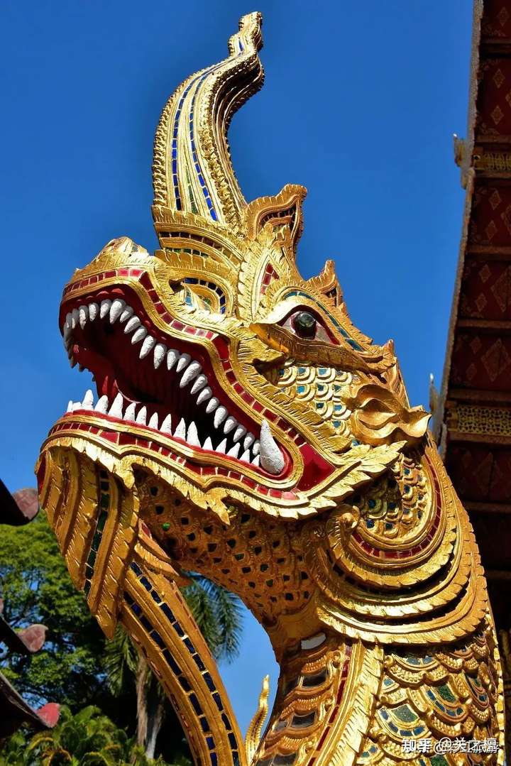 如何评价迪士尼动画电影《寻龙传说》?