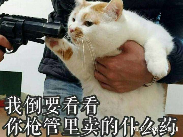 你见过哪些把自己活成了一个段子的人?
