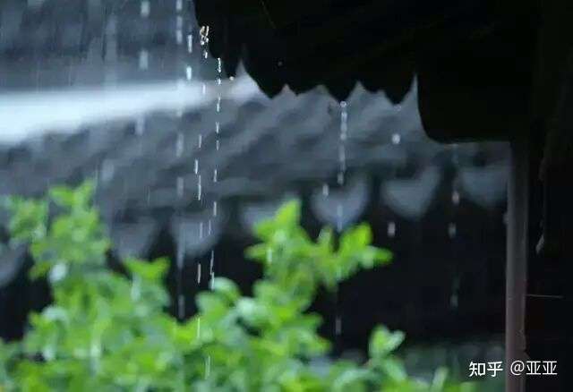 4,有雨敲窗,心却静如止水.