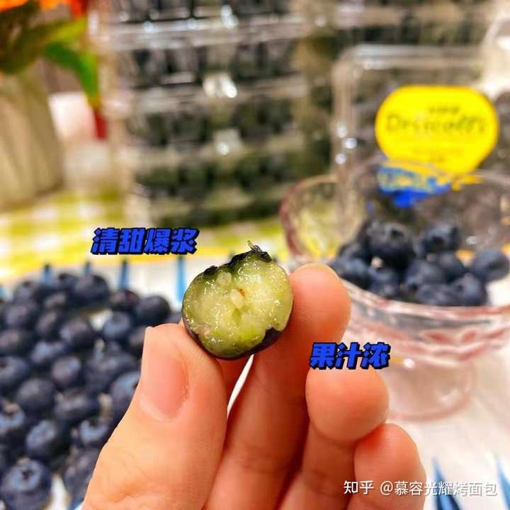 听说美国飞行员早餐必须吃蓝莓,蓝莓真的有那么好吗?