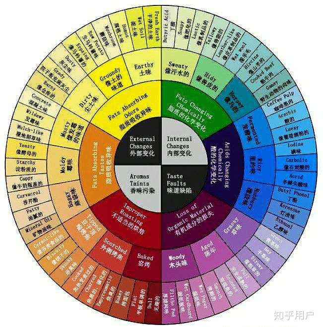 美国精品咖啡协会scaa的风味轮两张,一张原始版一张改进版