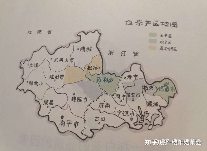 福建白茶按产区地理位置分布,分为闽北和闽东茶区.