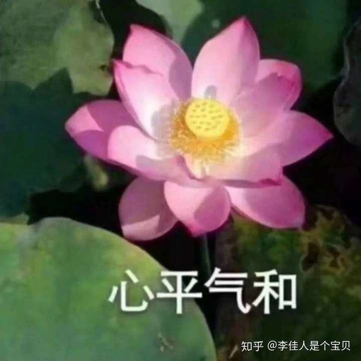 有没有被父母嫌弃过头像?