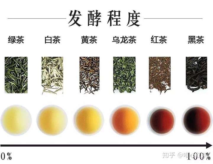 茶的主要分类是不是就是绿茶红茶乌龙茶每种分类下都有哪些优秀品种