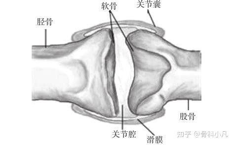 关节囊有少量积液最好应该怎么处理?