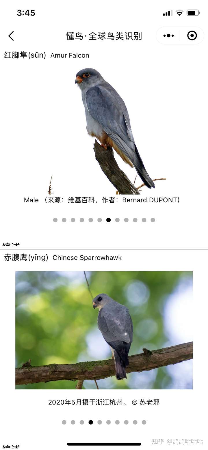 你瞅这深邃的大眼珠子