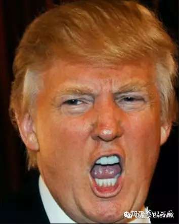 1995年光明会卡牌的神预言