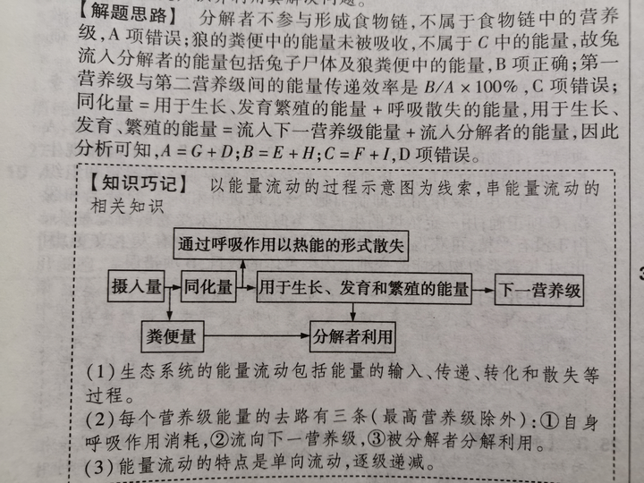 高中生物中同化量是什么意思?