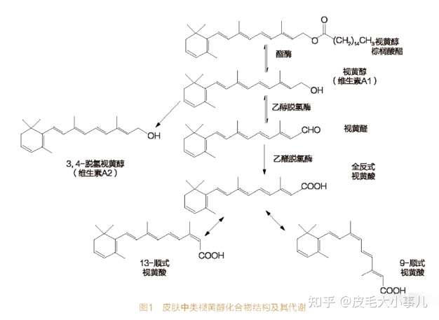 而是包含 视黄醇(维生素a1), 视黄醛, 视黄酸(维a酸,异维a酸,阿维a)