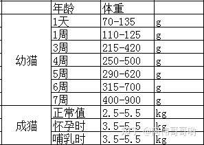 成年猫的正常体重应该在什么范围?