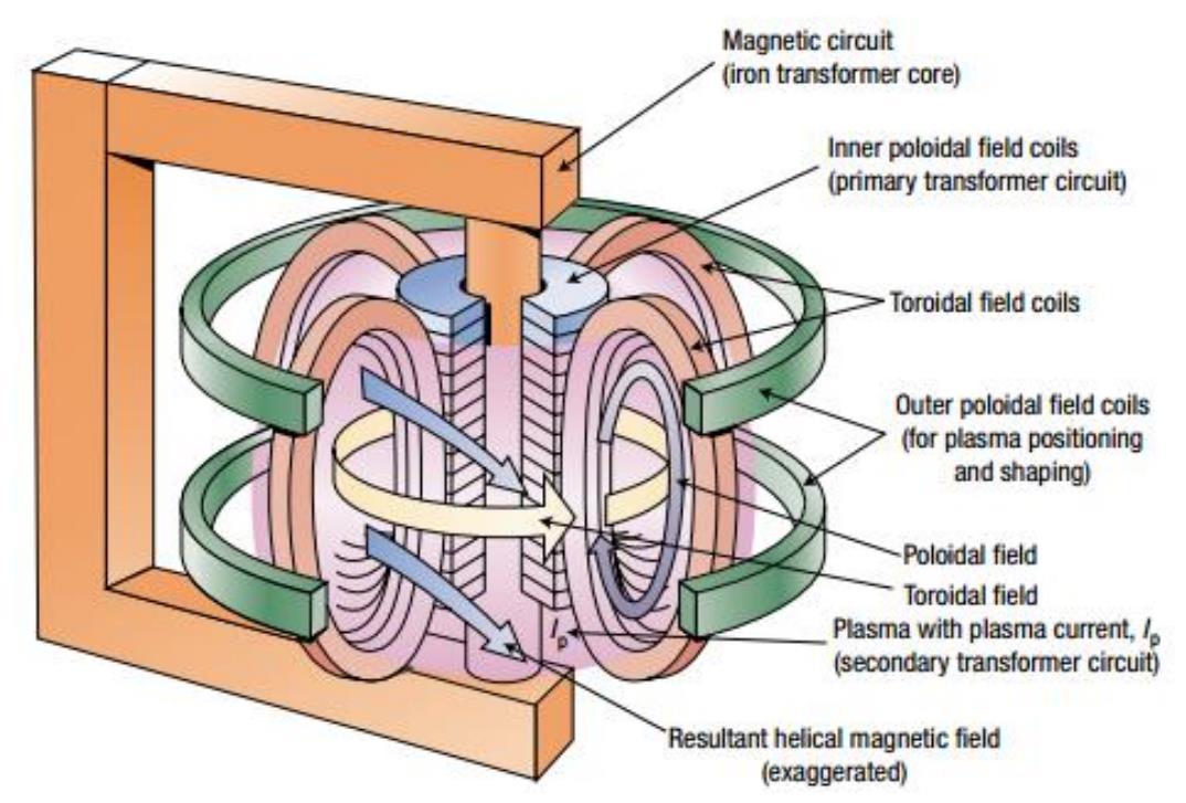 托卡马克主机结构示意图