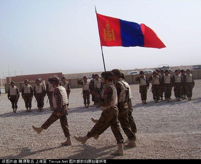 塔吉克斯坦国防军由陆军,机动部队和空军防空军三个军种组成,总人数约