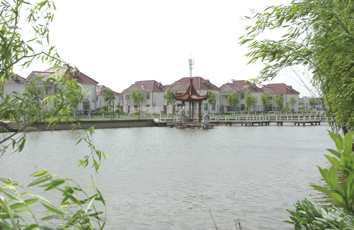 荷兰和中国的人口密度差不多,为什么荷兰人民