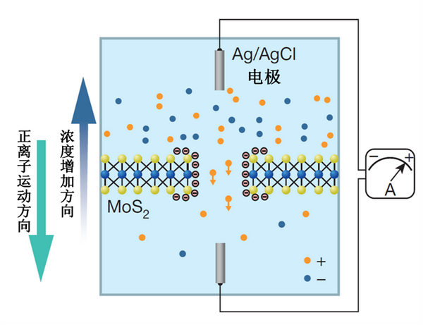 科学家开发出一种全新的渗透能发电系统