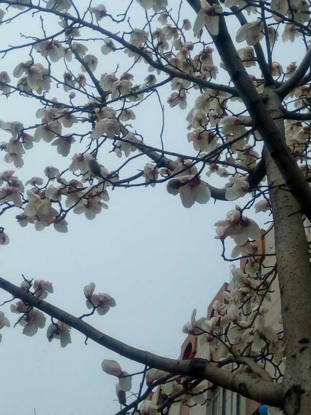 如何优雅地下逐客令? - 阿想的回答