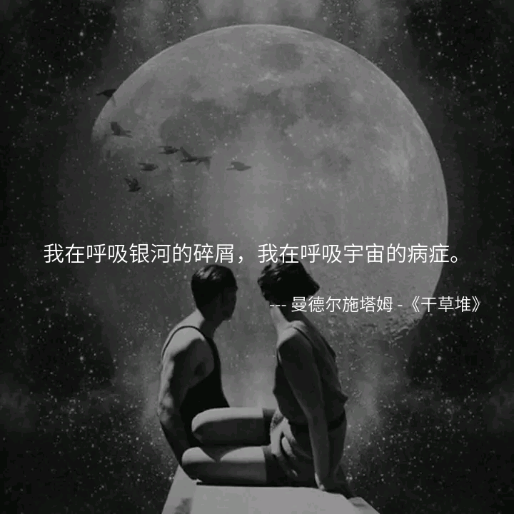 有哪些文艺而有韵味的句子? - 匿名用户的回答