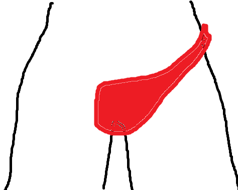 为什么女式<em>内裤</em>只有三角,而男式<em>内裤</em>就有平角