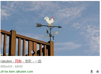 《美丽而残酷的世界》中的风见鸟有什么寓意?