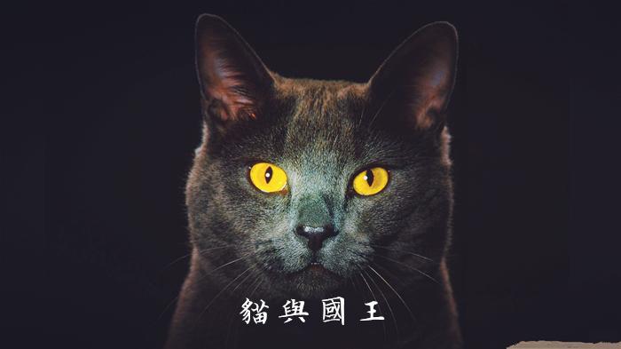 猫与国王 (真实与谎言)