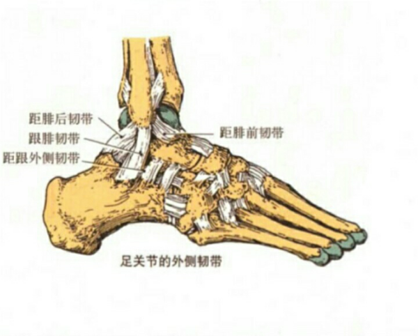 脚踝扭伤运动康复