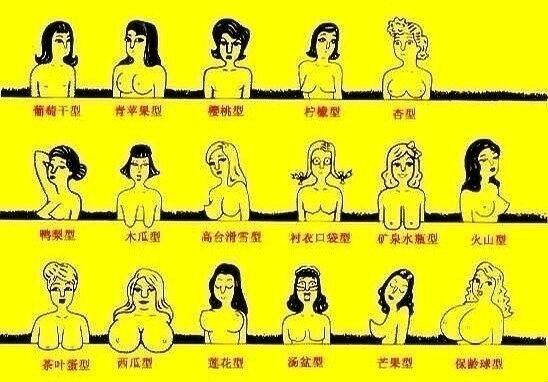 女性的胸型有几种正面看比如有些人是外扩的有些翘起