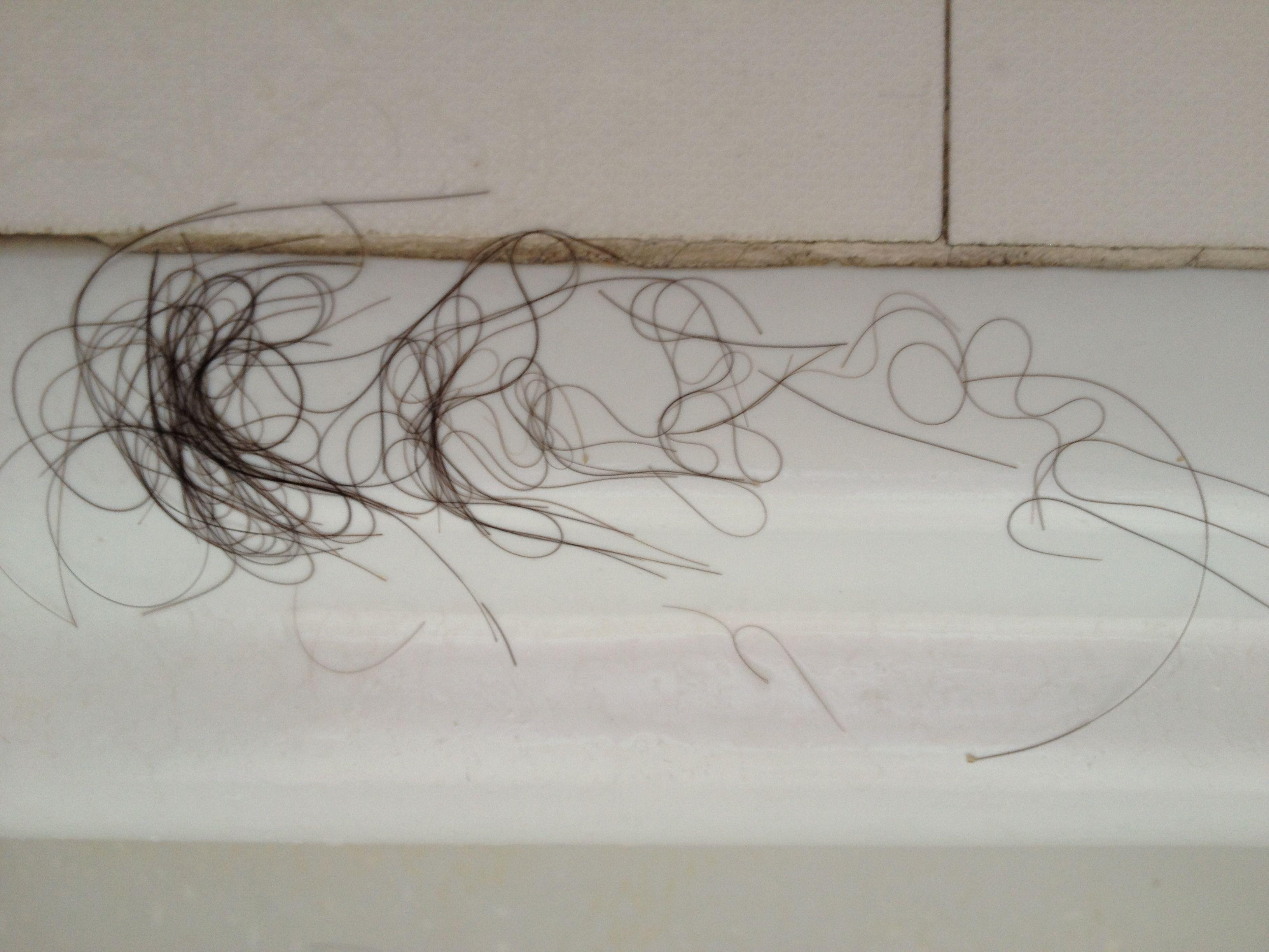 中国成年男性平均每天<em>掉</em>多少<em>根头发</em>算正常? -