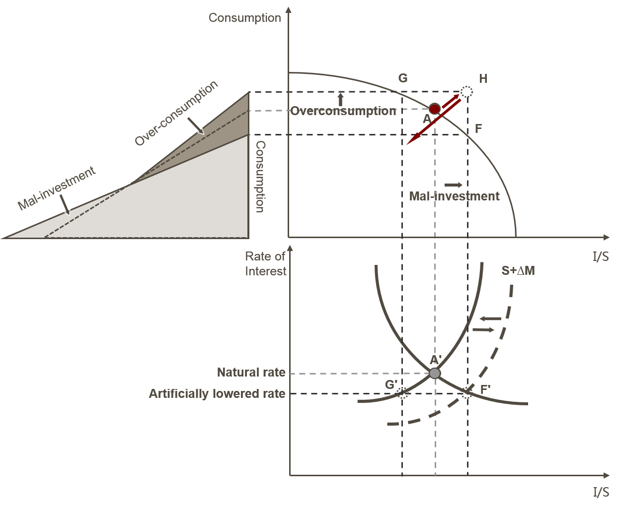 奥地利学派为何会成为中国民间经济学爱好者的