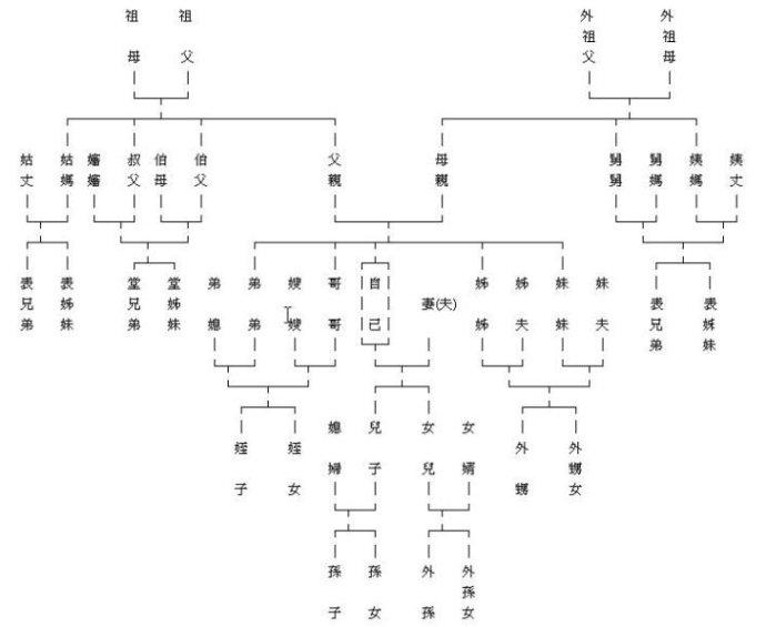 如"堂"代表父亲的兄弟所生的孩子,表则为母亲那边或父亲姐妹所生的