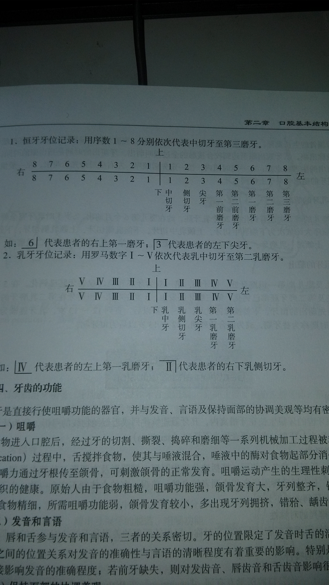 牙医在病历上的十字是什么意思?