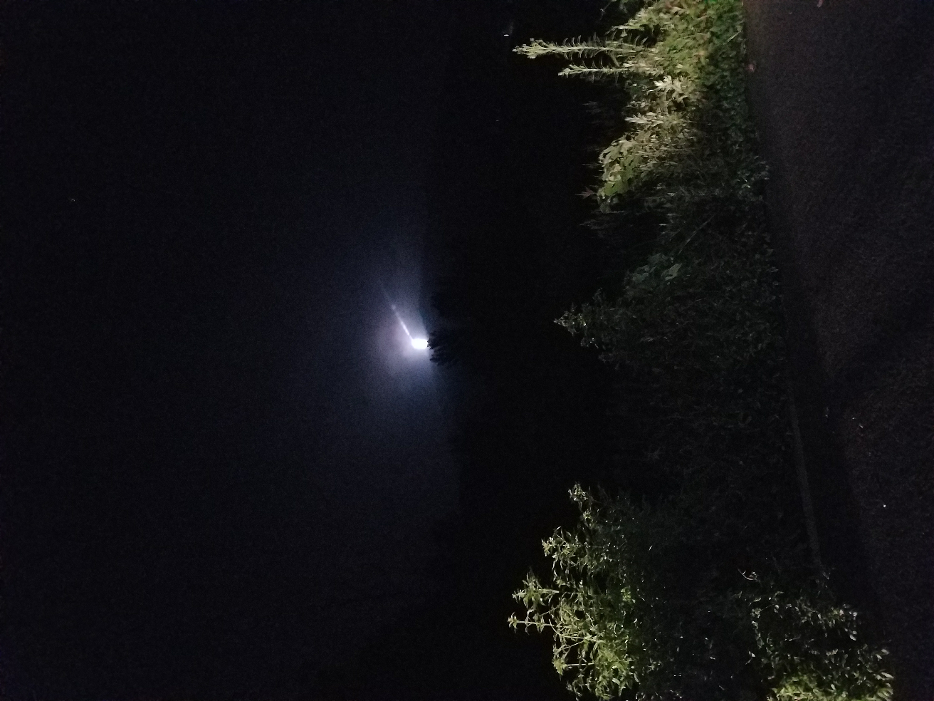 今天晚上看到的,山里贼亮,一下子就飞走了.  显示全部