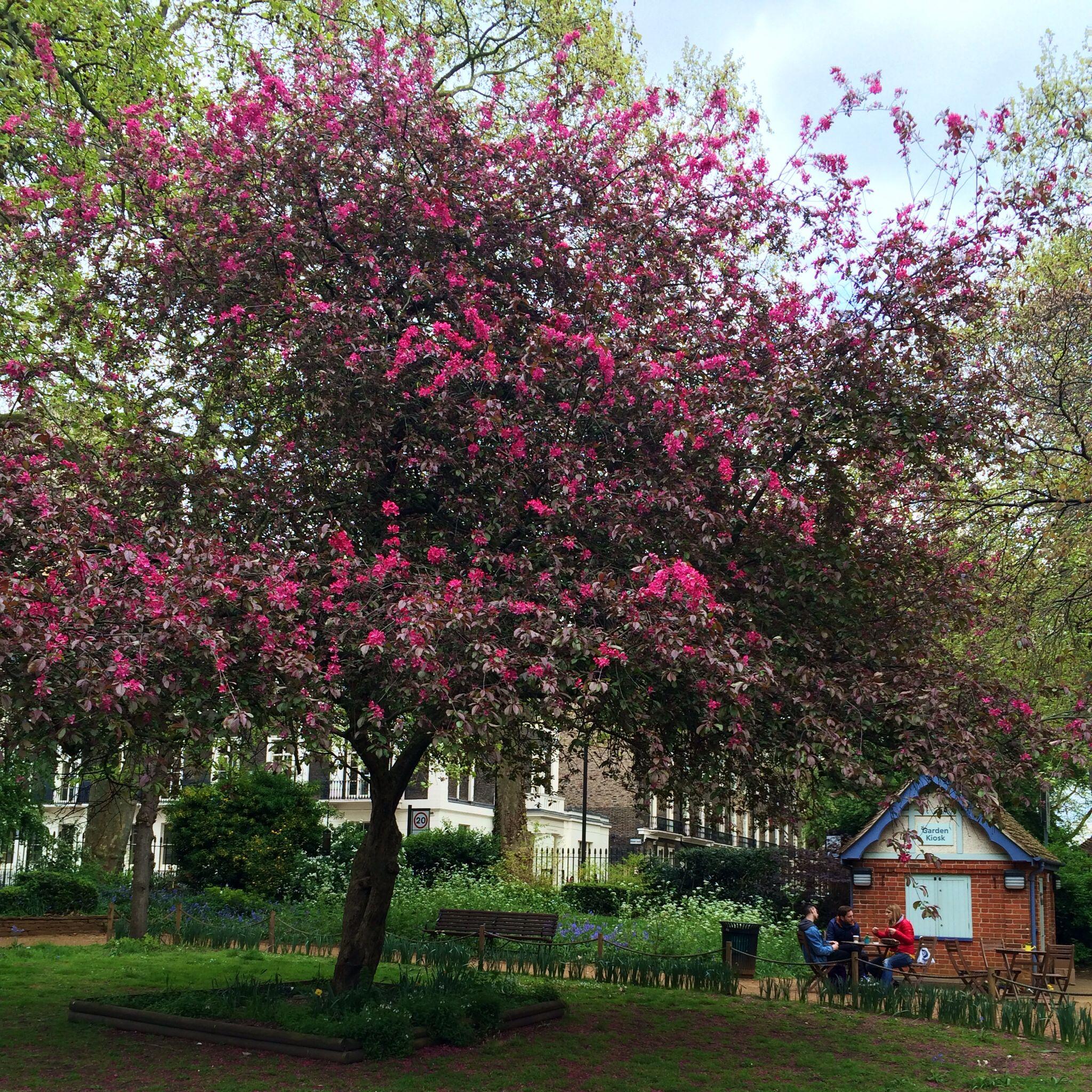 在伦敦大学学院 (University College London) 就