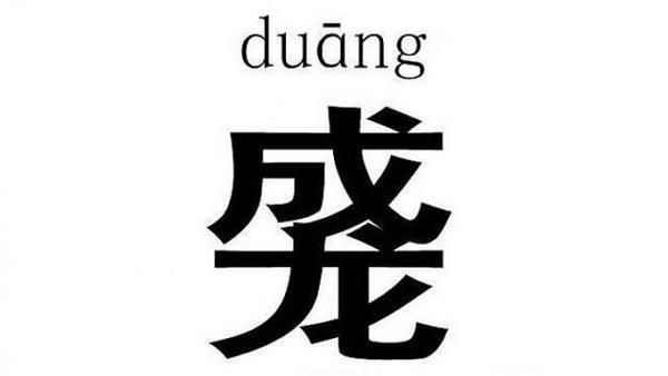 因为看起来duang duang的