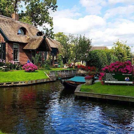 目前为止,美菜,大厨网,小农女,链农,上海本地91