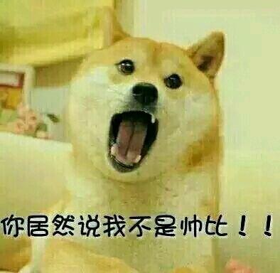 实力不服!表情包里怎么能不收几只精神污染狗! 首先,doge会卖萌!