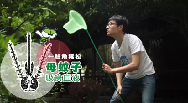 实验步骤一:捉蚊子