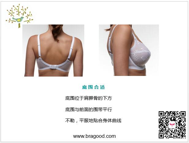 <em>文胸穿</em>得不合适,会造成怎样的后果? - 知乎用户