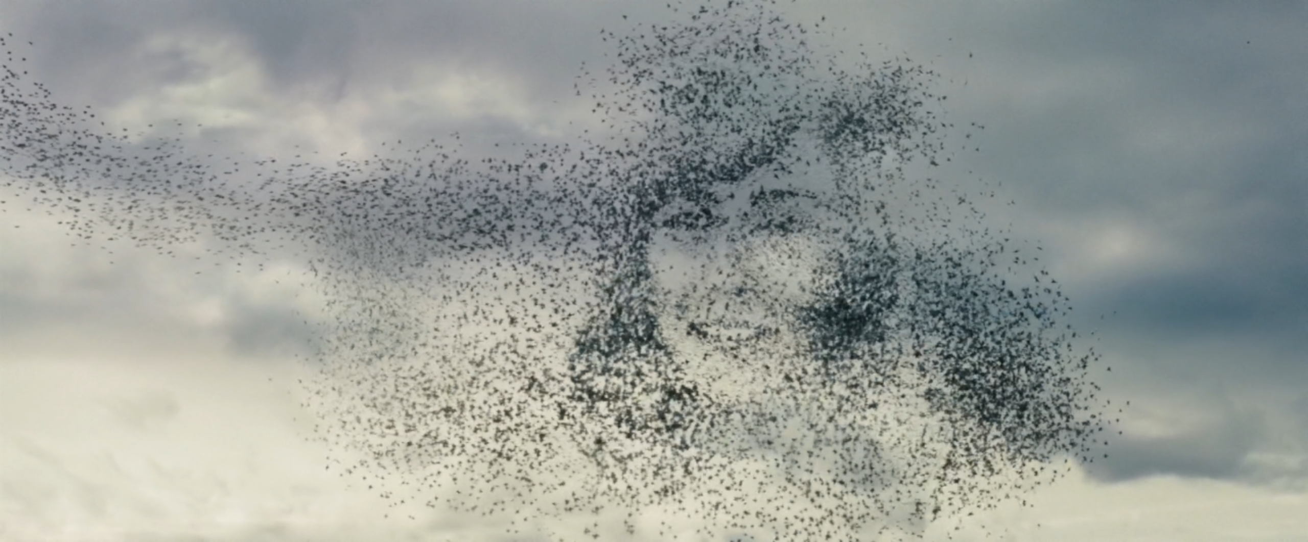 思念一个人是怎样一种体验? - 知乎用户的回答