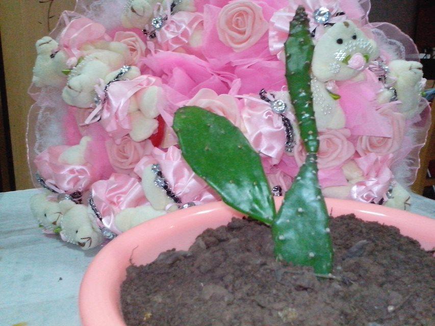 90后的你们现在都在做什么呢? 工作,学习,或者