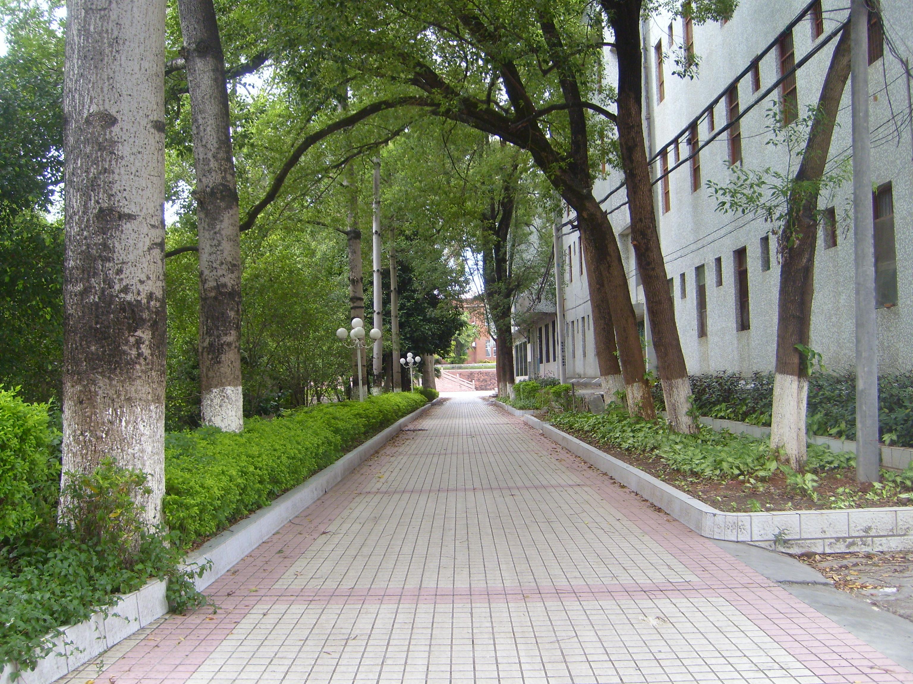 在梅县东山中学就读是怎样的体验? - 杨慧的回答